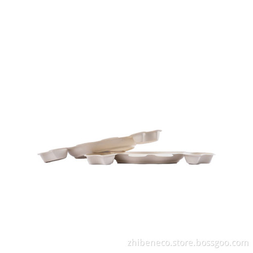 Eco Friendly Disposable & Biodegradable Hotel Plate